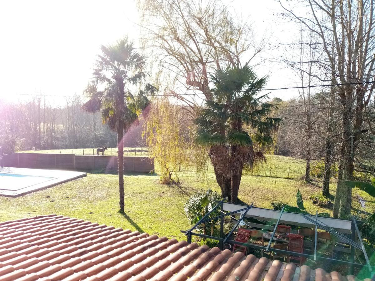 La Metairie De Biaudos Bed & Breakfast ภายนอก รูปภาพ